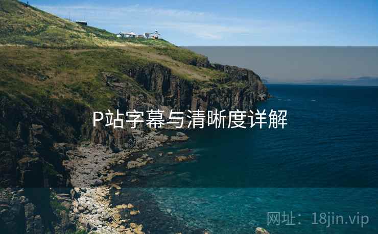 P站字幕与清晰度详解