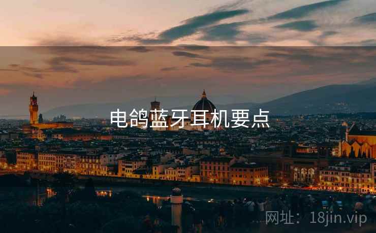 电鸽蓝牙耳机要点