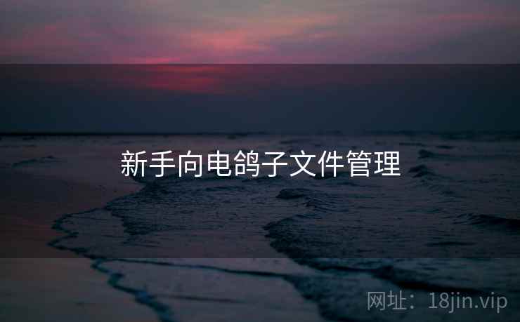 新手向电鸽子文件管理